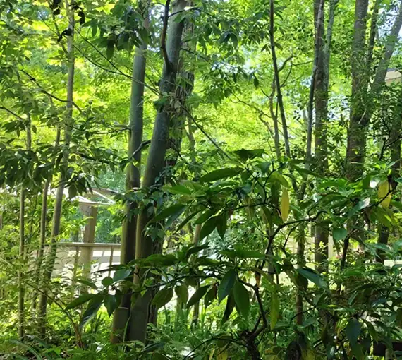 環境に優しいメンテナンス