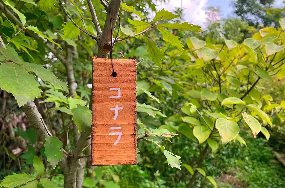 ネームプレート付け・アルバム作成