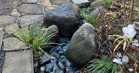 雨庭という考え方