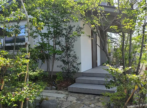 雑木の庭の管理