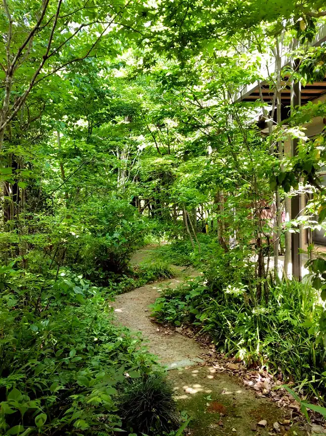 里山（自然）との調和