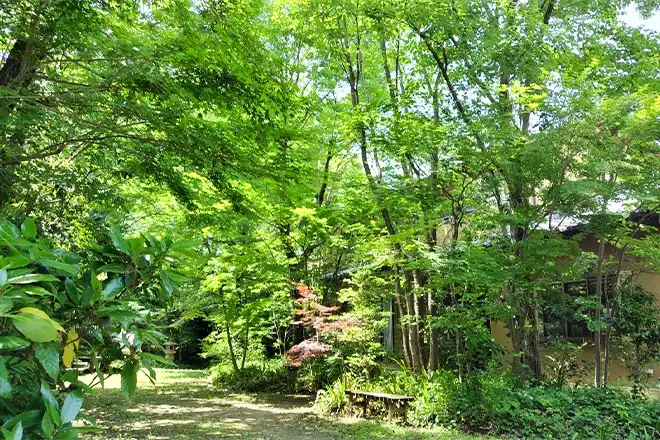 空気と水の循環