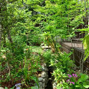 空気と水の循環