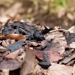空気と水の循環