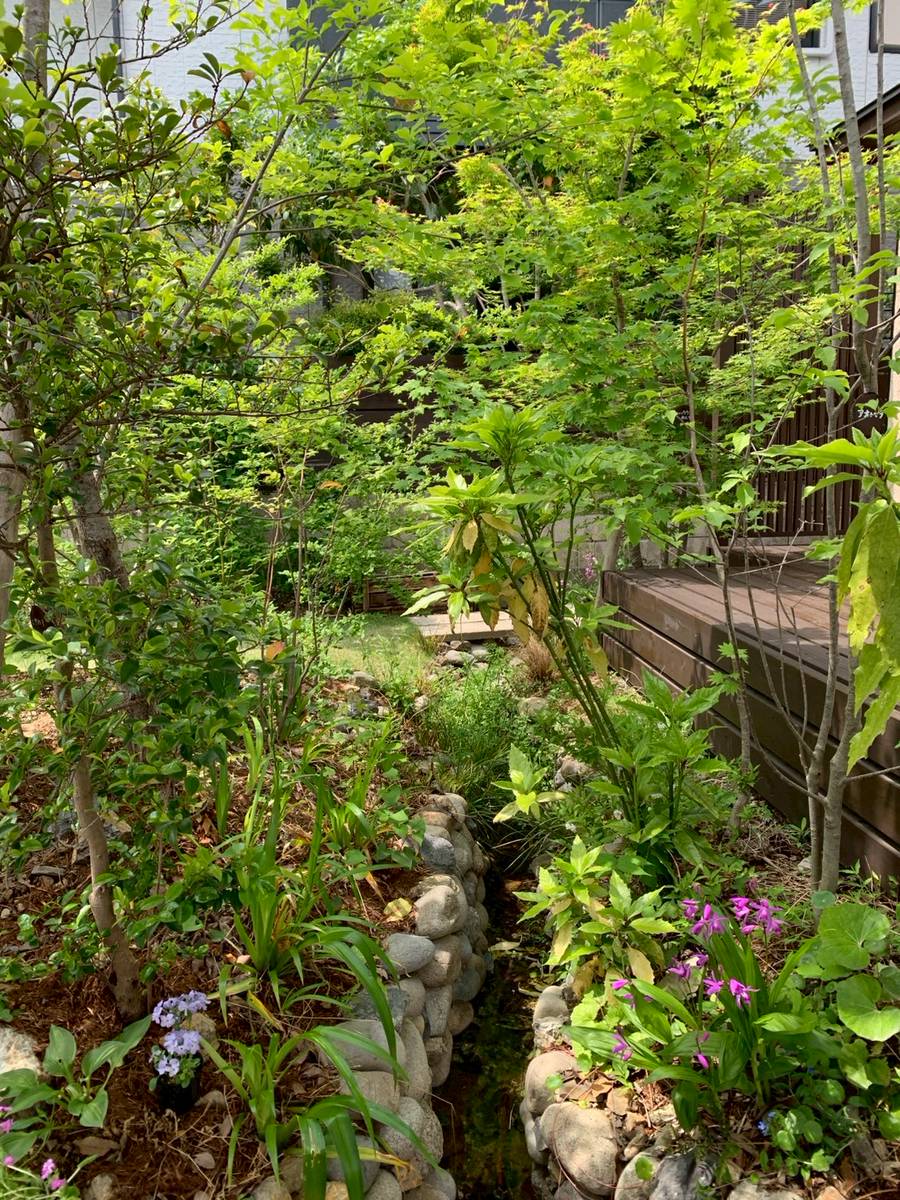 【水はけ改善と雑木の庭：栃木県N邸】水が湧いてくる庭の水はけ改善・造園事例