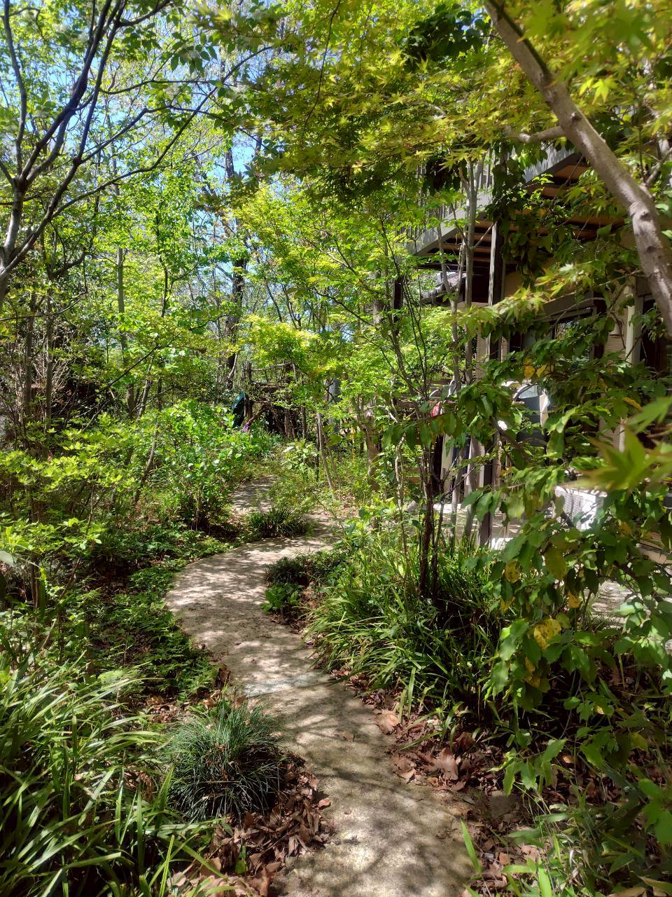 雑木の庭とは？